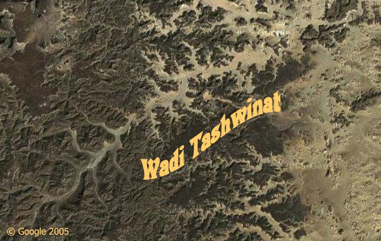 La valle del Wadi Tashwinat vista dal satellite, © Google 2005