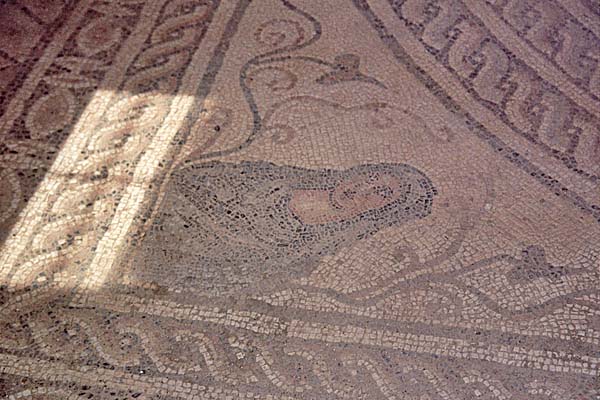 Cirene_CasaGiasoneMagno4.jpg - La casa di Giasone Magno, il mosaico delle Quattro Stagioni