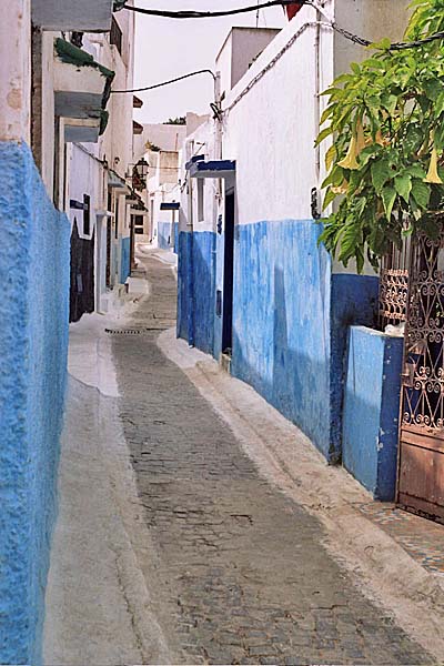 Marocco151.jpg - Vicoli interni della Kasbah