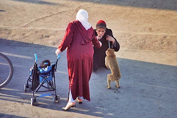 Marocco383.jpg - La piazza Djemaa el-Fna, ammaestratore di scimmie