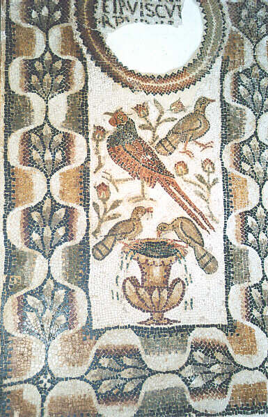 Tunisia050.JPG - Tunisi - Museo del Bardo - Mosaico con piccoli volatili