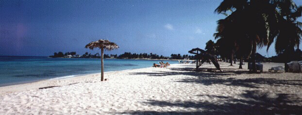 La spiaggia di playa Los Cocos