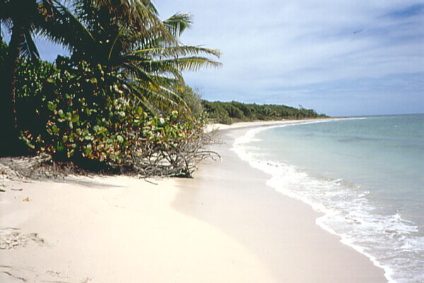 Antille014.JPG - Antille Francesi - Martinica e Guadalupa