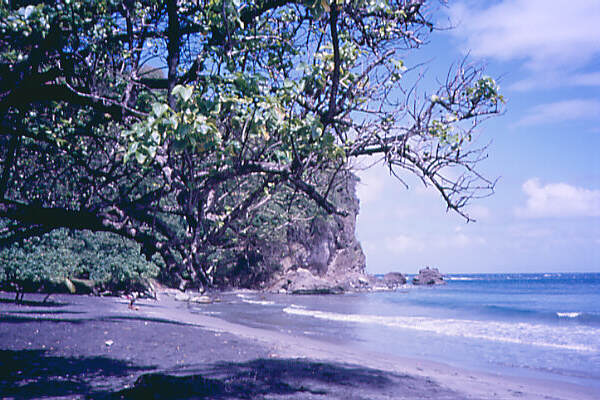 Antille018.JPG - Antille Francesi - Martinica e Guadalupa